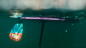 Preview: Red Paddle Co SPORT SE Set di tavole 11'3" x 32" x 4,7" 2020