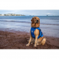 Preview: Red Original Dog PFD buoyancy vest for dogs Blue