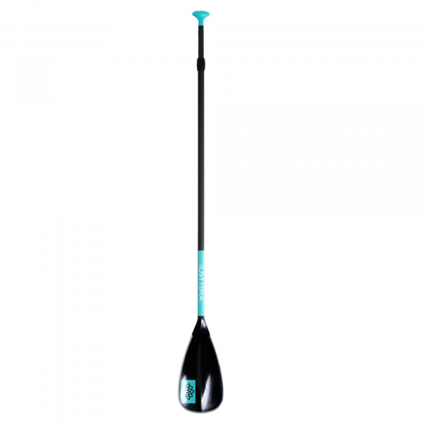 ARIINUI SUP Paddle Carbono 170-210 3 piezas Negro