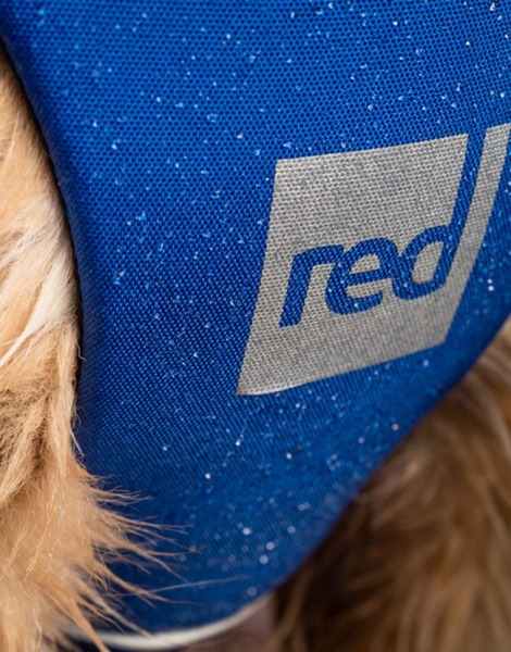Red Original Dog PFD buoyancy vest for dogs Blue
